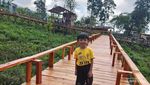 Oase Hijau di Perkebunan Teh Tambi, Bak Permadani