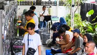 Fenomena ini menjadi gambaran perubahan pola kebutuhan masyarakat perkotaan saat musim liburan. Ketergantungan terhadap jasa laundry meningkat ketika tenaga bantuan rumah tangga tidak tersedia.