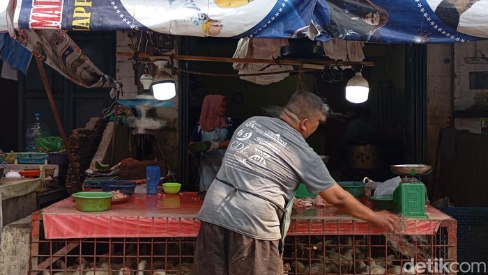 Salah satu lapak pedagang ayam di Pasar Sukaramai, Medan. (Rindi Antika/detikSumut)