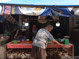 Bacaan Niat dan Doa Menyembelih Ayam, Yuk Disimak!