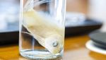 Sisik Ikan Disulap Jadi Kornea Buatan untuk Terapi Mata