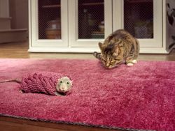 Mirip Bunglon, Fotografer Tangkap Momen Orang-orang Menyatu dengan Sekitarnya