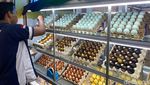 Di Rest Area Pabrik Gula Ini Bisa Belanja Oleh-oleh khas Brebes