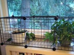 7 Ide Ngakalin Barang Rusak yang Bikin Ngakak