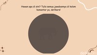 Soal terakhir, sudah yakin dengan semua jawabannya? Coba tulis di kolom komentar semua jawaban itu! (Foto: detikHealth/Daffa Ghazan Pradipta)
