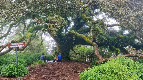Keindahan Bukit Amben di Desa Sembalun Bumbung, Kecamatan Sembalun, Lombok Timur, NTB. (Dok. Abdul Goni).