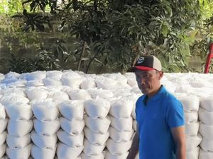 Dewi Perssik Balas Nyinyiran soal THR Rp 15 Ribu dengan Gunungan Beras