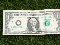 1 Dolar AS Berapa Rupiah Hari Ini 25 Maret 2026? Ini Kurs Terbarunya!