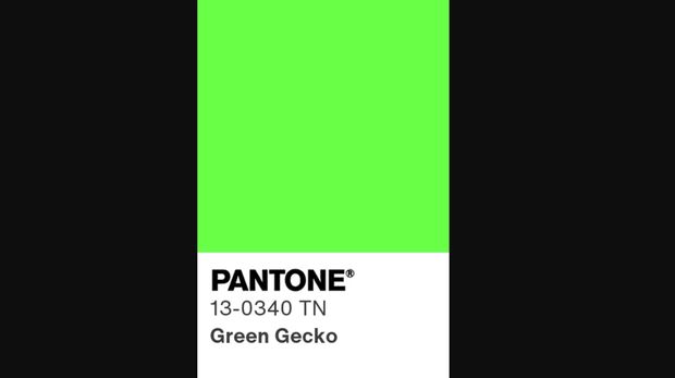 Green Gecko Green Gecko