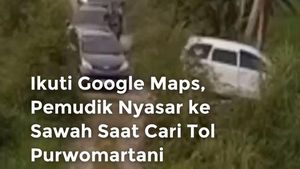 Video: Ikuti Google Maps, Pemudik Nyasar ke Sawah Saat Cari Tol Purwomartani