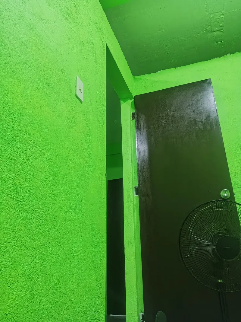 Interior rumah pakai cat green gecko/Instagram Interior rumah pakai cat green gecko/Instagram