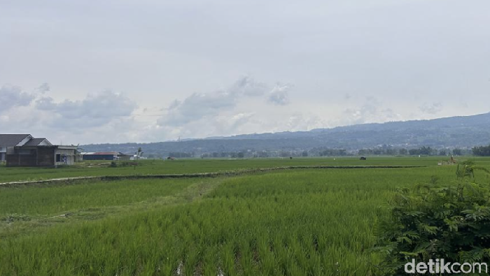 View area persawahan di Majalengka