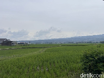 Disasarin Google Maps ke Sawah, Perjalanan Arus Balik Ini Berasa Naik Roller Coaster!