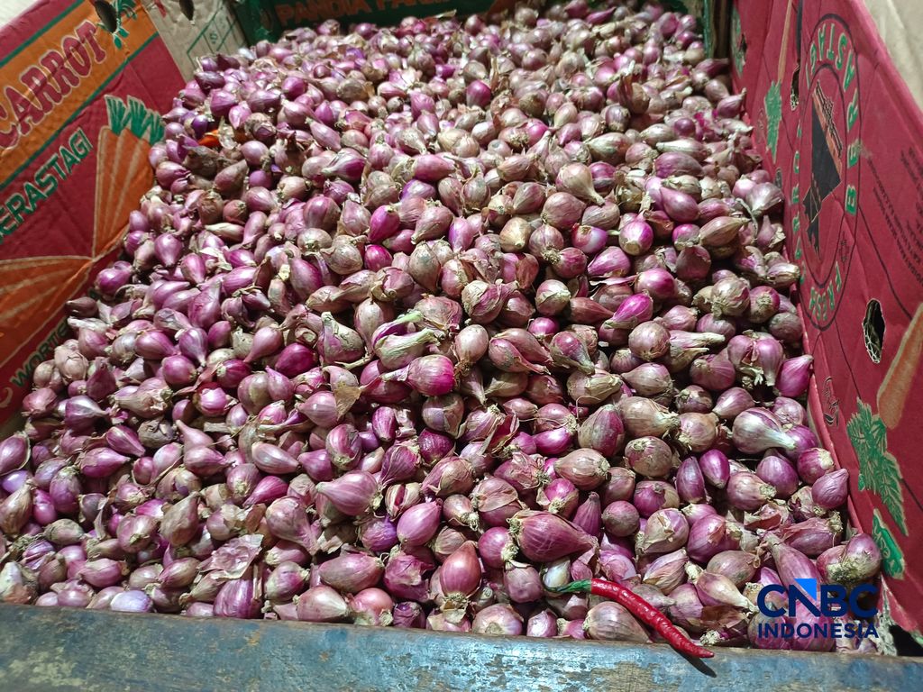 Pantauan langsung kondisi stok dan harga barang kebutuhan pokok di Pasar Rumput, Jakarta Selatan, Rabu (25/3/2026). (CNBC Indonesia/Martyasari Rizky)