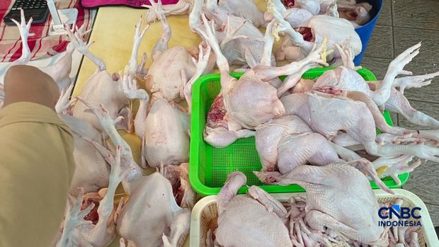 Pantauan langsung kondisi stok dan harga barang kebutuhan pokok di Pasar Rumput, Jakarta Selatan, Rabu (25/3/2026). (CNBC Indonesia/Martyasari Rizky)