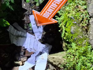 Bocah 10 Tahun di Blora Tewas Akibat Main Mercon Temuan