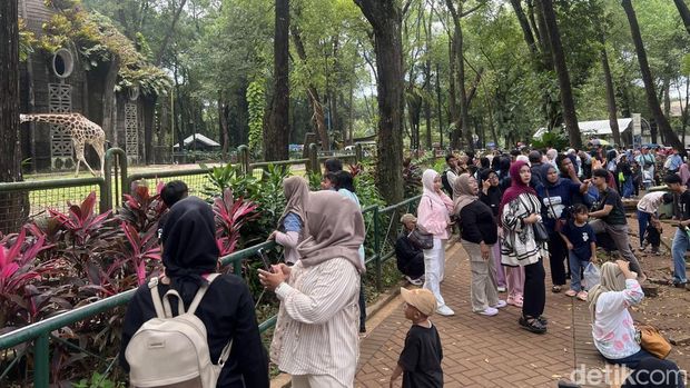 Suasna Ragunan saat H+4 Lebaran. (adhfar/detikcom)