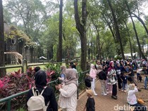 30 Ribu Wisatawan Kunjungi Ragunan Saat Libur Jumat Agung