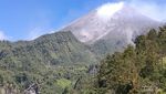 Wisata Gumuk Petung Camp, Viewnya Pemandangan Indah Gunung Merapi