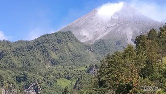 Wisata Gumuk Petung Camp, Viewnya Pemandangan Indah Gunung Merapi