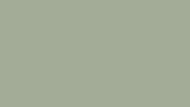 Warna Cat Mizzle Warna Cat Mizzle