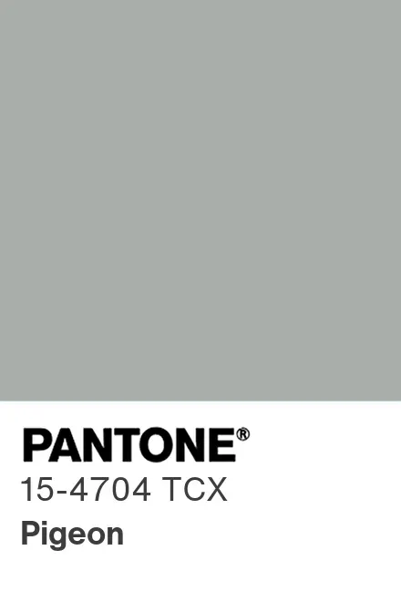 Warna Cat Pigeon Warna Cat Pigeon