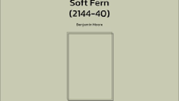 Warna Cat Soft Fern Warna Cat Soft Fern