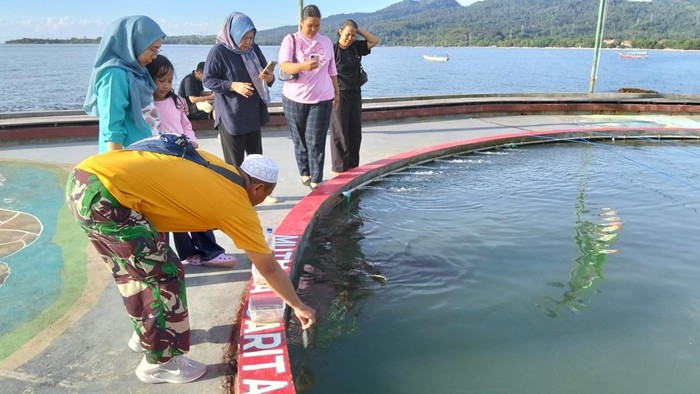 Wisata Konservasi Penyu Pandeglang