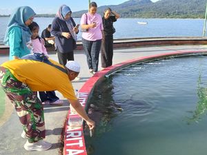 Libur Lebaran Asyiknya Melihat Wisata Konservasi Penyu di Pandeglang