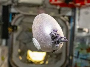 Benda Bertentakel Mirip Alien Muncul di ISS, Netizen Heboh: Bakar!