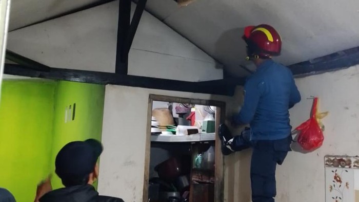 Damkar Kabupaten Bogor mengevakuasi biawak yang berkeliaran di plafon rumah