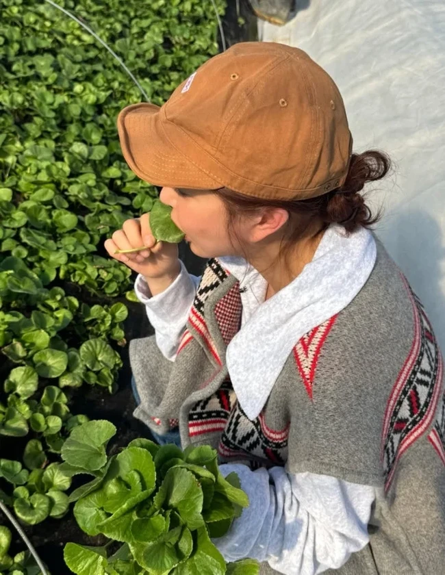 Shoo eks S.E.S kini menjalani kehidupan sebagai petani sekaligus mengembangkan bisnis makanan sehat. Ia mulai tertarik pada gaya hidup sehat sejak menjadi seorang ibu. Foto: dok. X