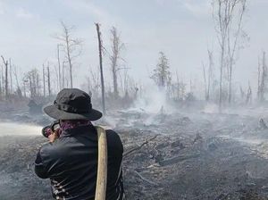 Karhutla Kalbar Didominasi Pembukaan Lahan, Polisi: Semua Kasus Perorangan