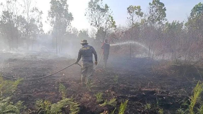 Kebakaran hutan dan lahan (Karhutla) kembali terjadi di Kabupaten Kubu Raya