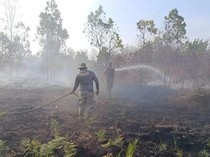 Video Menteri LH Minta Pemda Tetapkan Siaga Darurat di Wilayah Rawan Karhutla