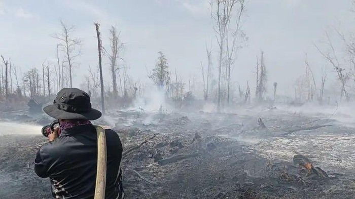 Kebakaran hutan dan lahan (Karhutla) kembali terjadi di Kabupaten Kubu Raya