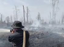 Karhutla di Kubu Raya, 20 Hektare Lahan Terbakar