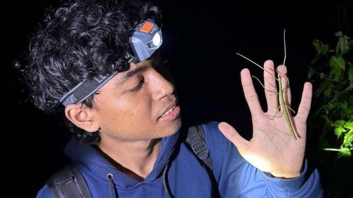 Mahasiswa Unud temukan spesies baru serangga tongkat