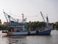 Fenomena Upwelling 2026 Mulai Terbentuk, Tanda Kuat Musim Tangkap Ikan Nelayan