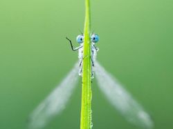 Bikin Ketawa! Foto Hewan Liar Ini Kocaknya Kebangetan