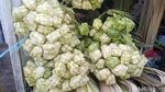 Warga Pasuruan Mulai Berburu Janur untuk Lebaran Ketupat