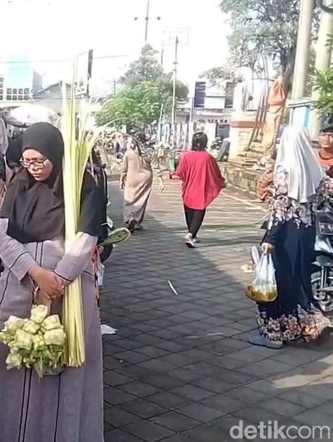 Warga Pasuruan Mulai Berburu Janur untuk Lebaran Ketupat