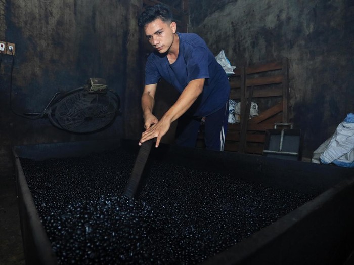 Perkerja memperlihatkan biji kopi robusta di UKM Taufik Kopi, Banda Aceh, Aceh, Kamis (26/3/2026). Pelaku usaha tersebut mengolah kopi robusta secara tradisional yang dianggap memiliki cita rasa khas yang berbeda dibandingkan pengolahan secara modern, sekaligus memenuhi permintaan pasar lokal hingga ke sejumlah daerah seperti Sumatera Utara, Batam, Jakarta, dan Kalimantan Timur dengan harga jual Rp140 ribu per kilogram. ANTARA FOTO/Akramul Muslim/YU