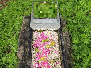 Ide Cuan Lebaran Ala Laifa: Bikin Jasa Titip Nyekar buat Perantau