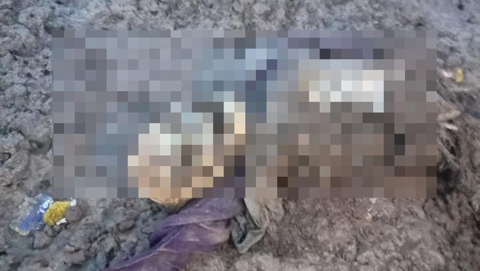 Tengkorak manusia ditemukan warga pesisir pantai Tanjabtim, Jambi