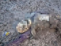 Warga Pesisir Tanjabtim Jambi Temukan Tengkorak Manusia