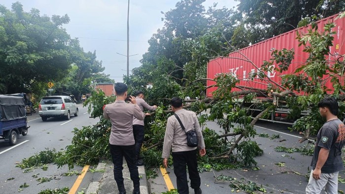 Truk tersangkut pohon di Sidoarjo
