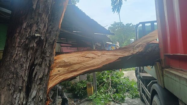 Truk tersangkut ranting pohon di Sidoarjo Truk tersangkut ranting pohon di Sidoarjo