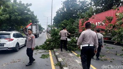 Jalan Trosobo Sidoarjo Tersendat Imbas Truk Trailer Nyangkut Pohon