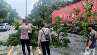 Kasat Lantas Polresta Sidoarjo AKP Yudhi Anugrah Putra mengatakan, dugaan sementara penyebab kejadian karena sopir mengantuk saat berkendara.